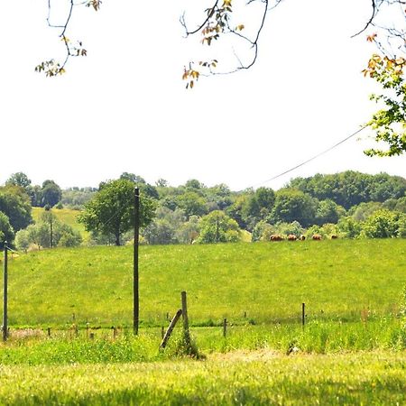 Domaine Du Castellare Bed and Breakfast Le Chalard Exteriör bild