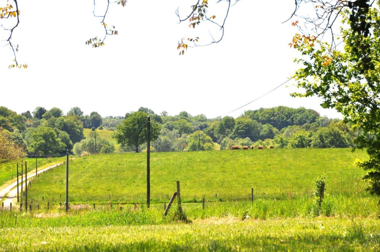 Domaine Du Castellare Bed and Breakfast Le Chalard Exteriör bild